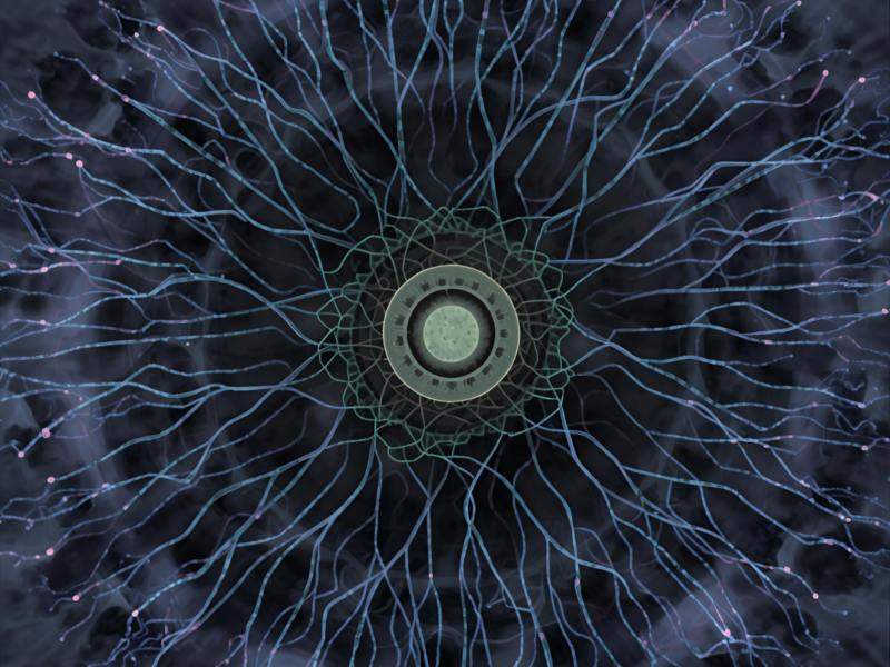 Unraveling Aging-Associated Molecular Drivers in Tumour Progression and Therapy Response